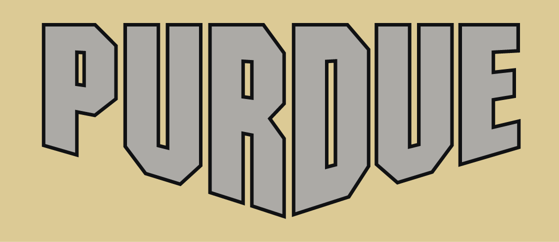 Purdue Boilermakers 2012-Pres Wordmark Logo v5 iron on transfers for T-shirts